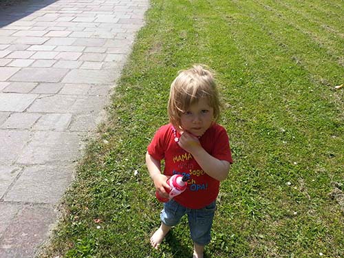 Bild 18