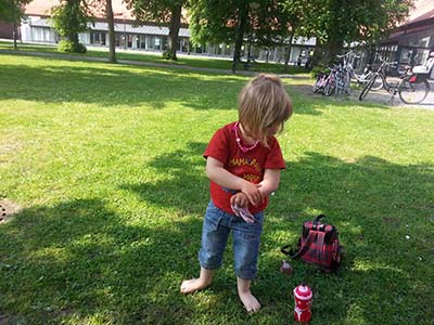 Bild 32